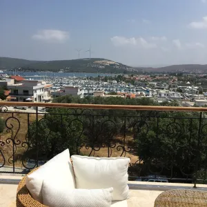 clementine-suits (3)